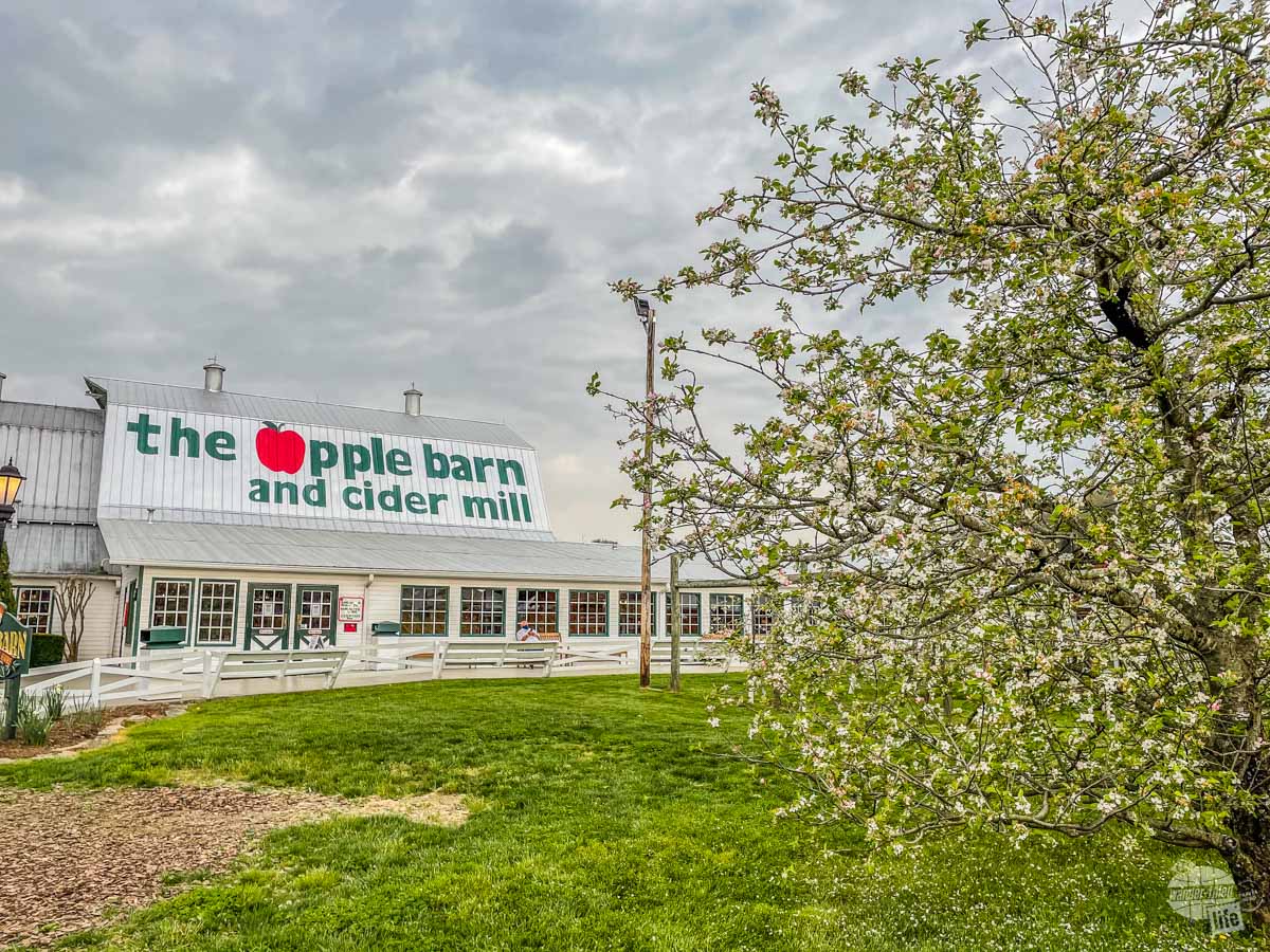 The Apple Barn and Cider Mill