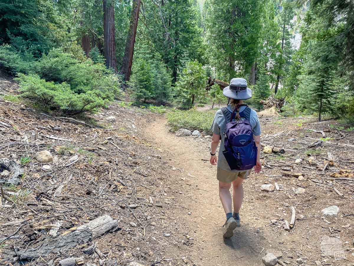 Bonnie day hiking in Lassen Volcanic National Park on the Devils Kitchen Trail.