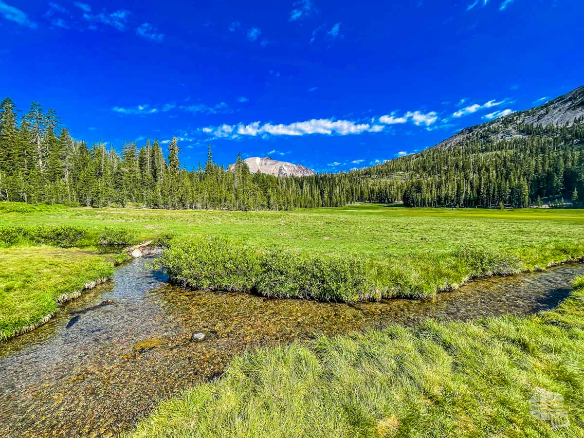 A meadow at Lassen Volcanic National Park.